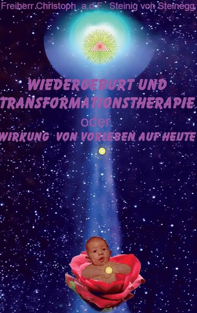 bokomslag Wiedergeburt und Transformationstherapie