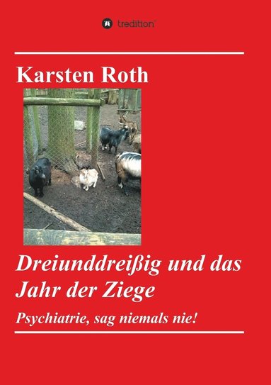bokomslag Dreiunddreißig und das Jahr der Ziege