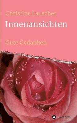 bokomslag Innenansichten