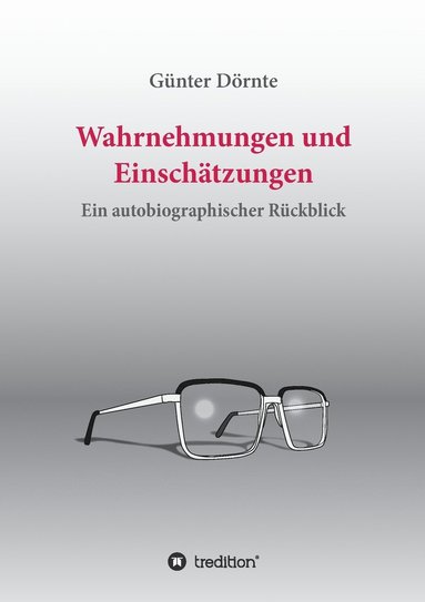 bokomslag Wahrnehmungen und Einschätzungen