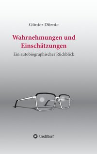 bokomslag Wahrnehmungen und Einschätzungen