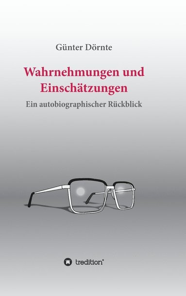 bokomslag Wahrnehmungen und Einschätzungen