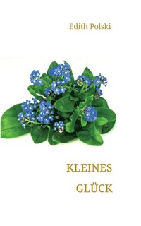 bokomslag Kleines Glück