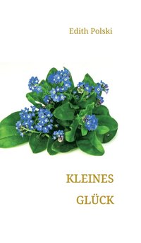 bokomslag Kleines Glück