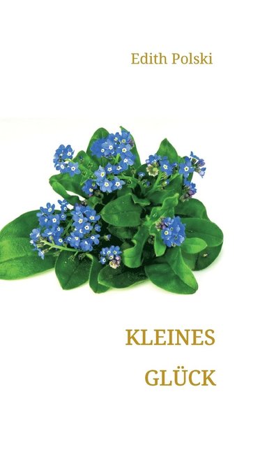 bokomslag Kleines Glück
