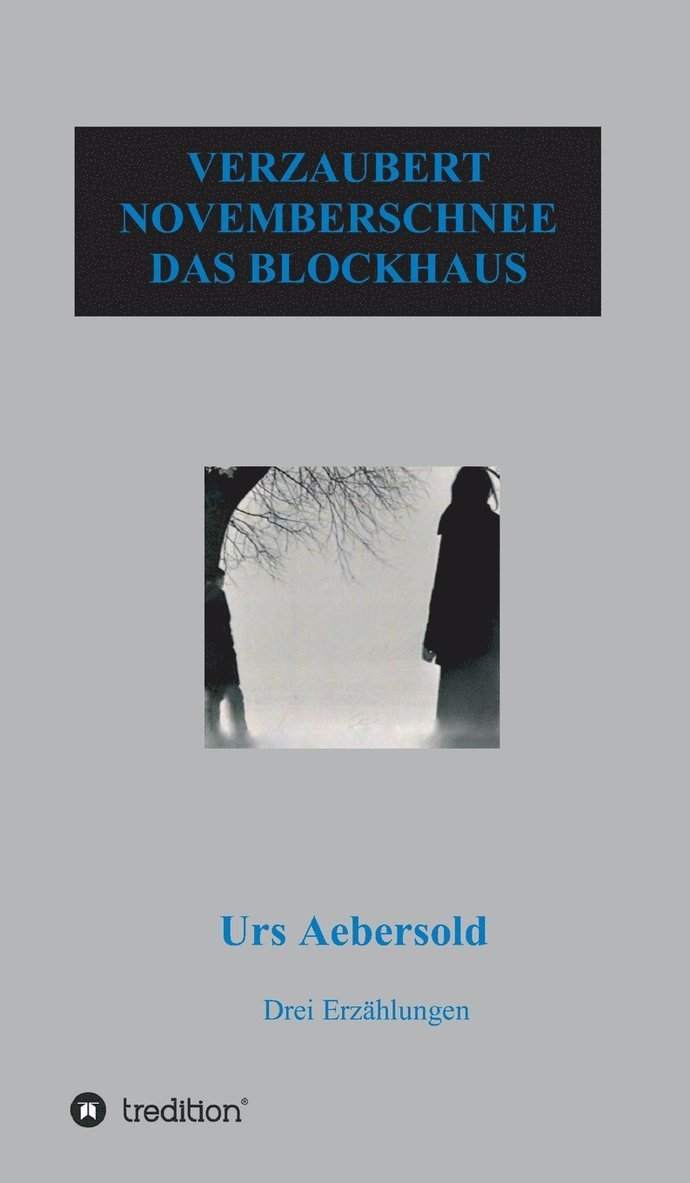 Verzaubert - Novemberschnee - Das Blockhaus 1