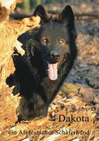 bokomslag Dakota