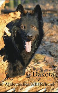 bokomslag Dakota