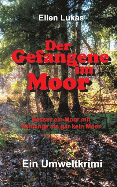 bokomslag Der Gefangene im Moor