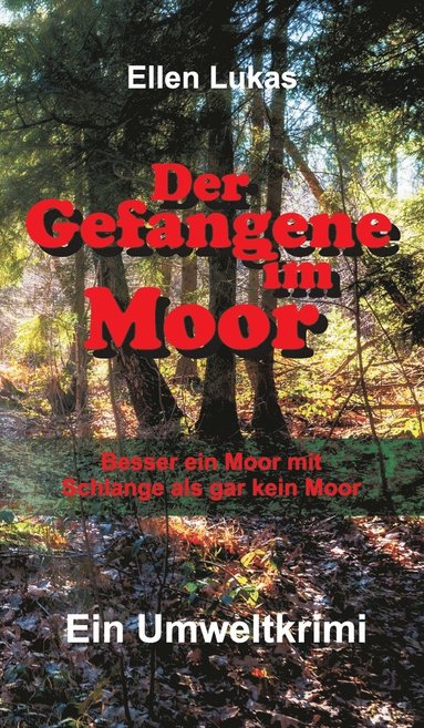 bokomslag Der Gefangene im Moor