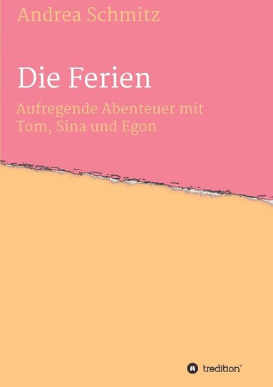 Andrea Schmitz - Die Ferien, Häftad