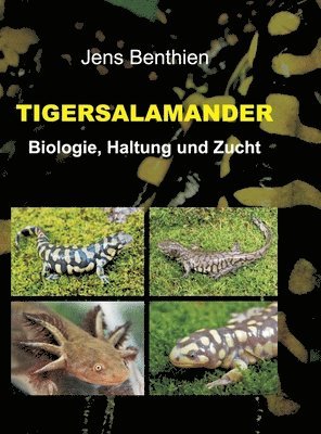 bokomslag Tigersalamander