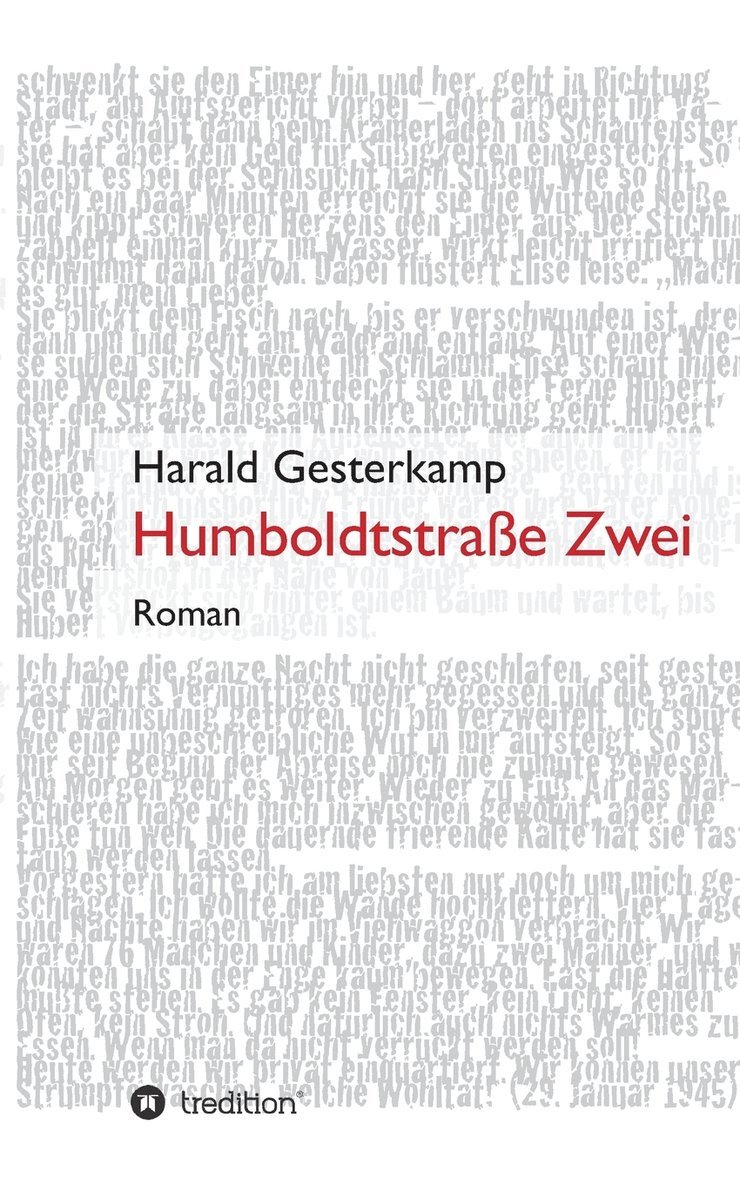 Harald Gesterkamp - Humboldtstraße Zwei, Häftad