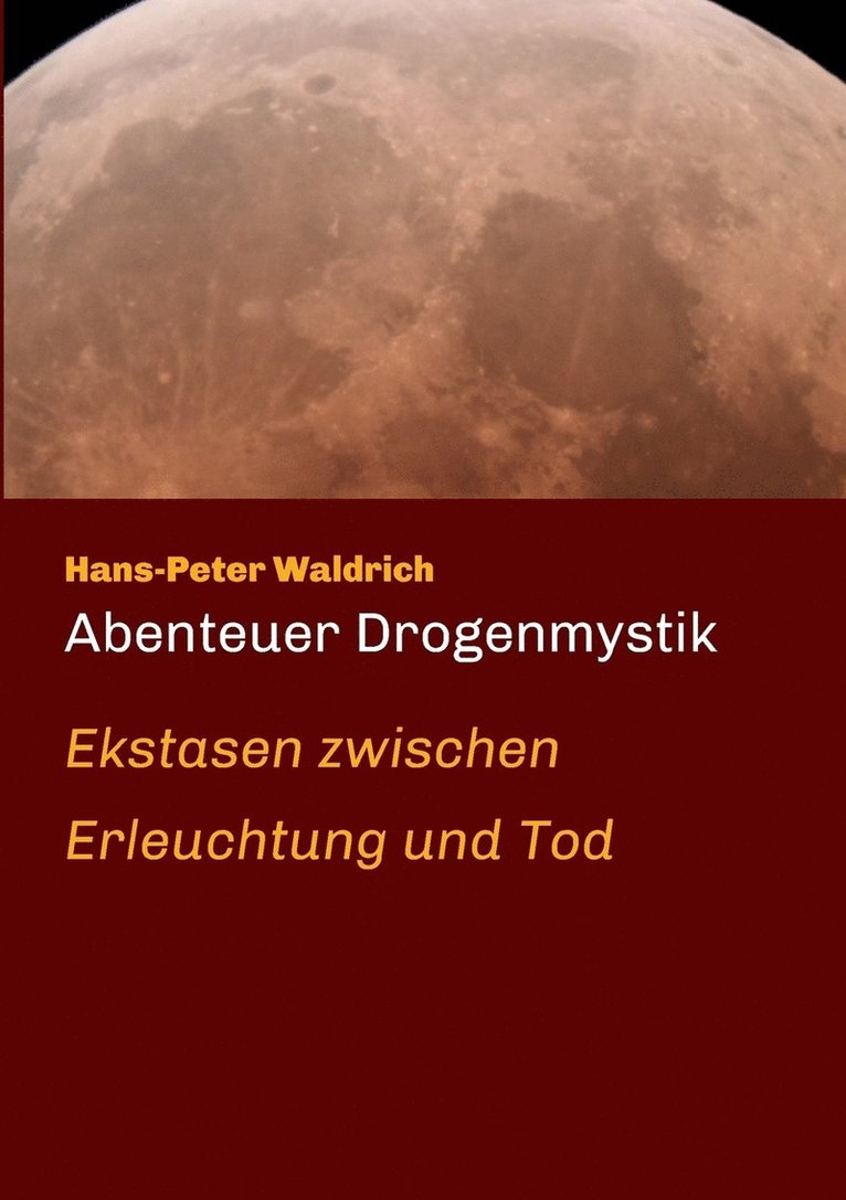 Hans-Peter Waldrich - Abenteuer Drogenmystik, Häftad