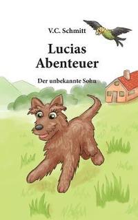 bokomslag Lucias Abenteuer: Der Unbekannte Sohn
