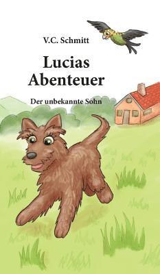 Lucias Abenteuer: Der Unbekannte Sohn 1