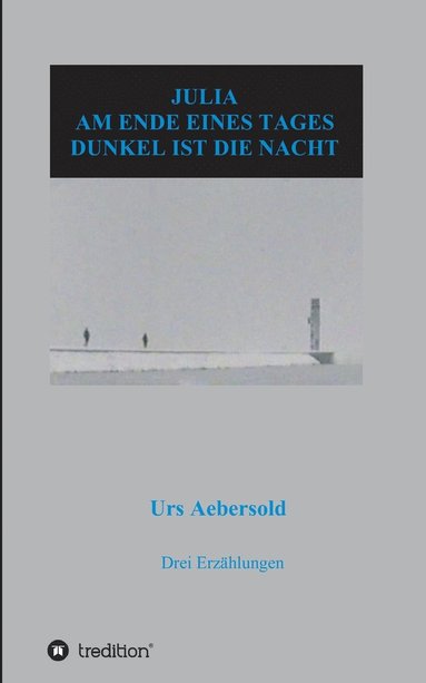 bokomslag Julia - Am Ende Eines Tages - Dunkel Ist Die Nacht