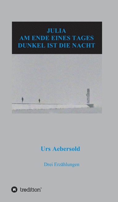 bokomslag Julia - Am Ende Eines Tages - Dunkel Ist Die Nacht