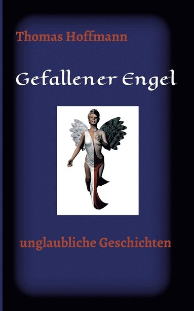 Thomas Hoffmann - Gefallener Engel, Häftad