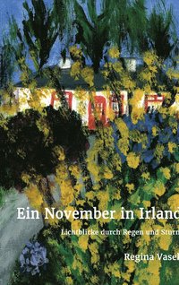bokomslag Ein November in Irland