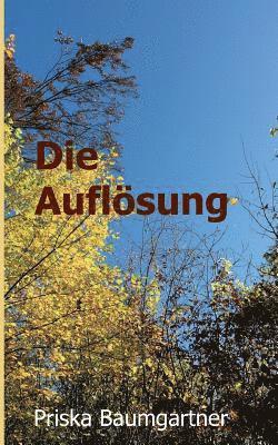 Die Auflösung 1