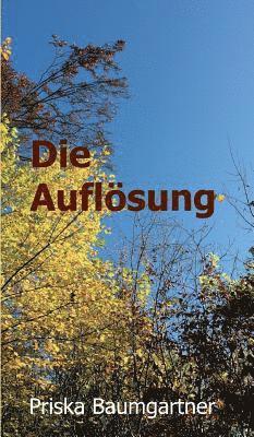 Die Auflösung 1