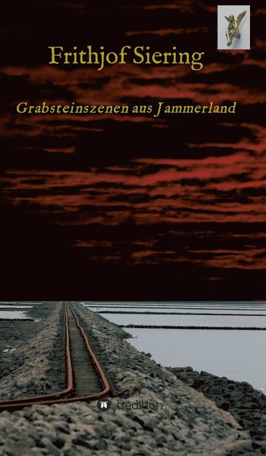 bokomslag Grabsteinszenen aus Jammerland