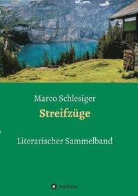 bokomslag Streifzüge