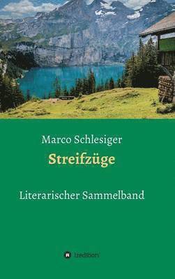 bokomslag Streifzüge
