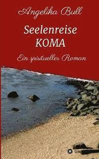 bokomslag Seelenreise KOMA