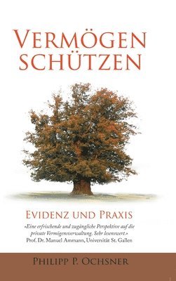 bokomslag Vermögen schützen