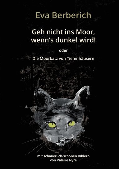 bokomslag Geh nicht ins Moor, wenn's dunkel wird!