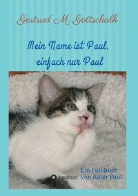 bokomslag Mein Name ist Paul, einfach nur Paul