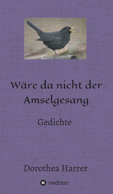 bokomslag Wre da nicht der Amselgesang