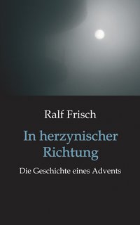 bokomslag In herzynischer Richtung