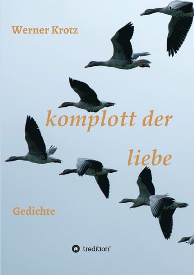 Werner Krotz - komplott der liebe, Häftad