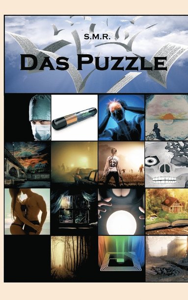 bokomslag Das Puzzle