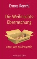 bokomslag Die Weihnachtsüberraschung