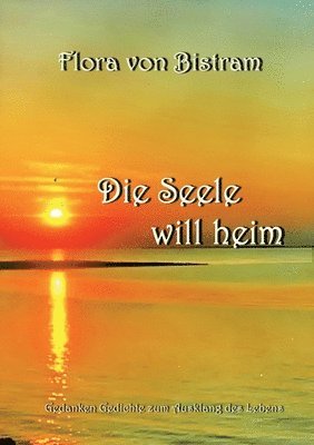 bokomslag Seele will heim