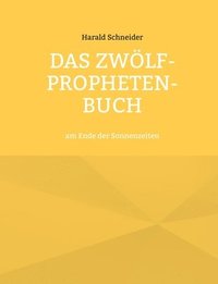 bokomslag Das Zwlf-Propheten-Buch