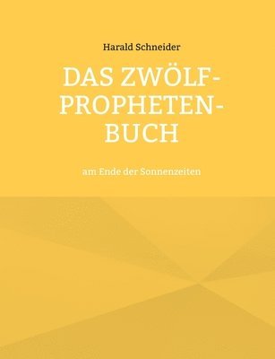 bokomslag Das Zwlf-Propheten-Buch