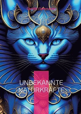 bokomslag Unbekannte Naturkräfte