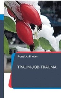 bokomslag 'Traum-Job-Trauma'