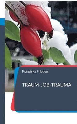 bokomslag &quot;Traum-Job-Trauma&quot;