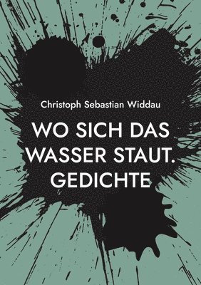 Christoph Sebastian Widdau - Wo sich das Wasser staut, Häftad