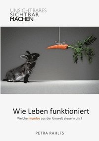 bokomslag Wie Leben funktioniert