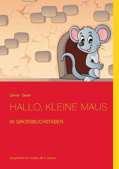 Denis Geier - Hallo, kleine Maus, Häftad