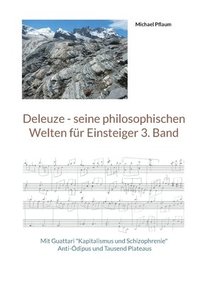 bokomslag Deleuze - seine philosophischen Welten fr Einsteiger 3. Band