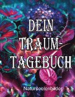 bokomslag Dein Traumtagebuch