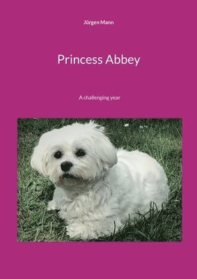 Princess Abbey 1